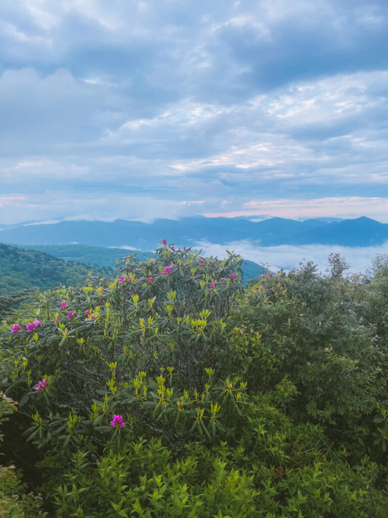 How to Spend a Weekend in Maggie Valley, NC