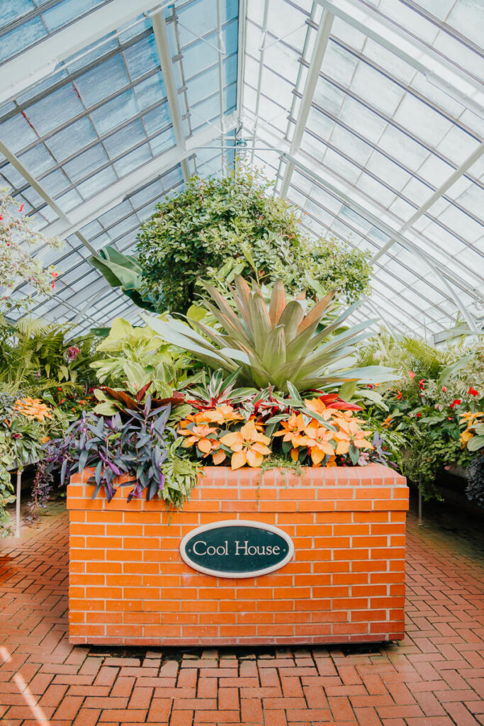 Cool House in Biltmore's Conservatory 