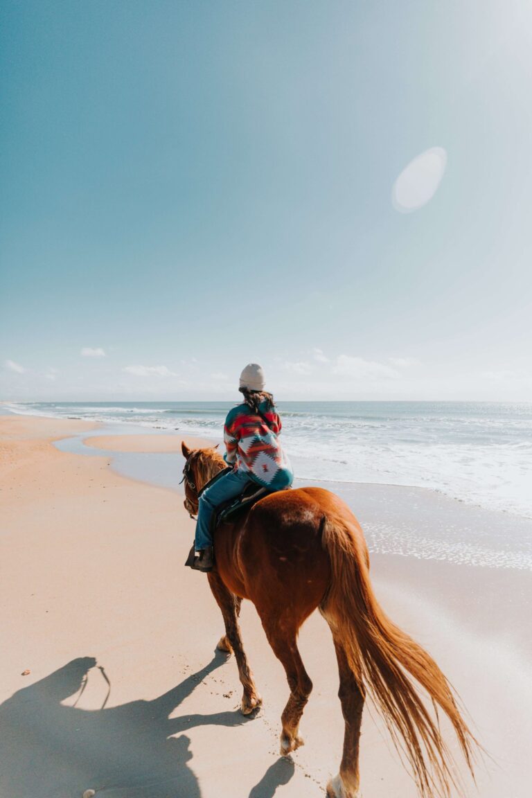 Horseback Riding on the Outer Banks: An Unforgettable Experience