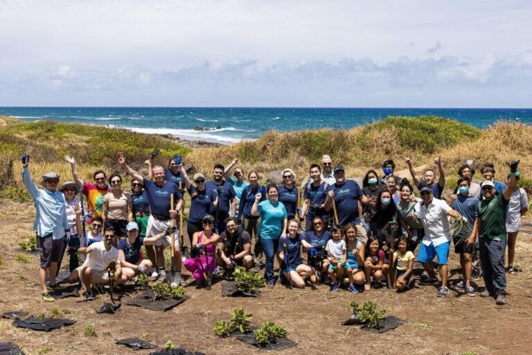 Giving Back on Vacation: My Experience with Ecotourism in Hawaii