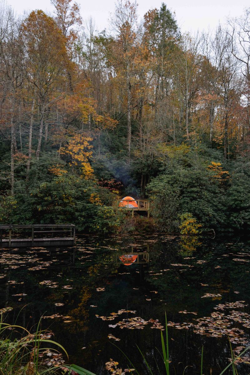 Orange tent surrounded by trees by a pond