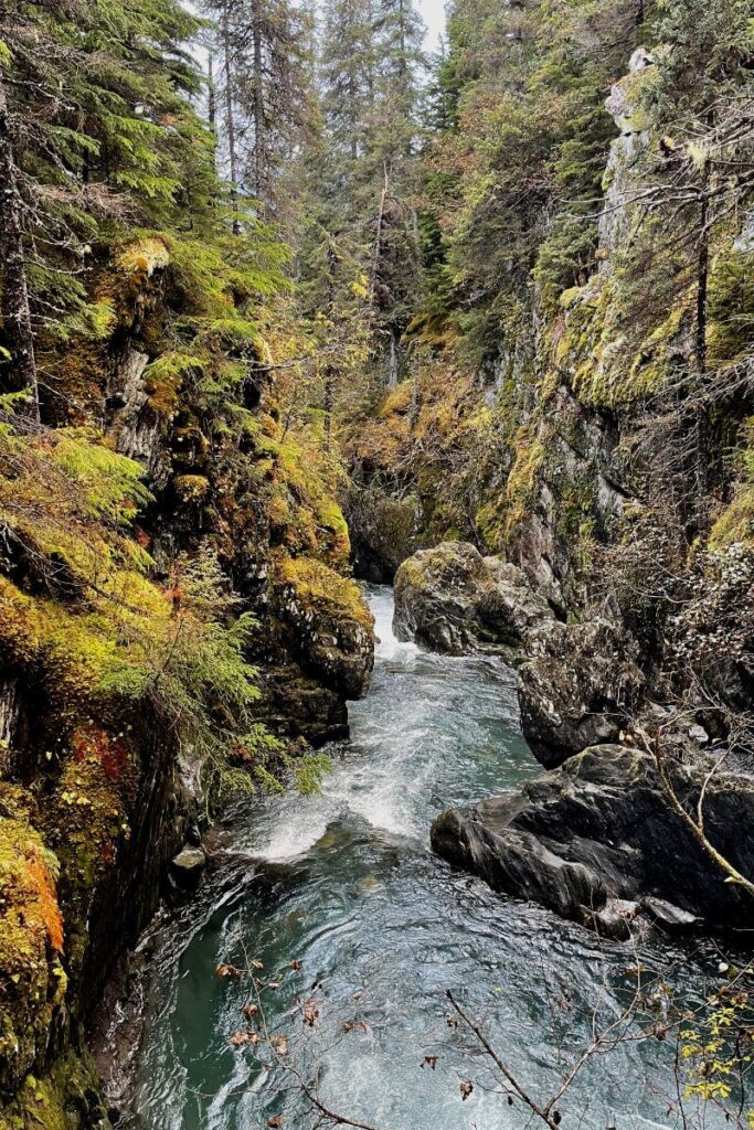 River gorge on the Winner Creek Trail at Alyeska Resort in Girdwood, Alaska 