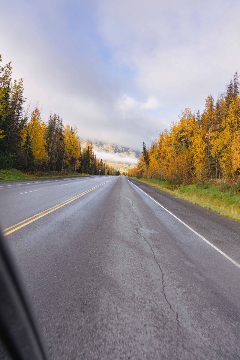 Road surrounded by fall foliage along the Seward Highway 