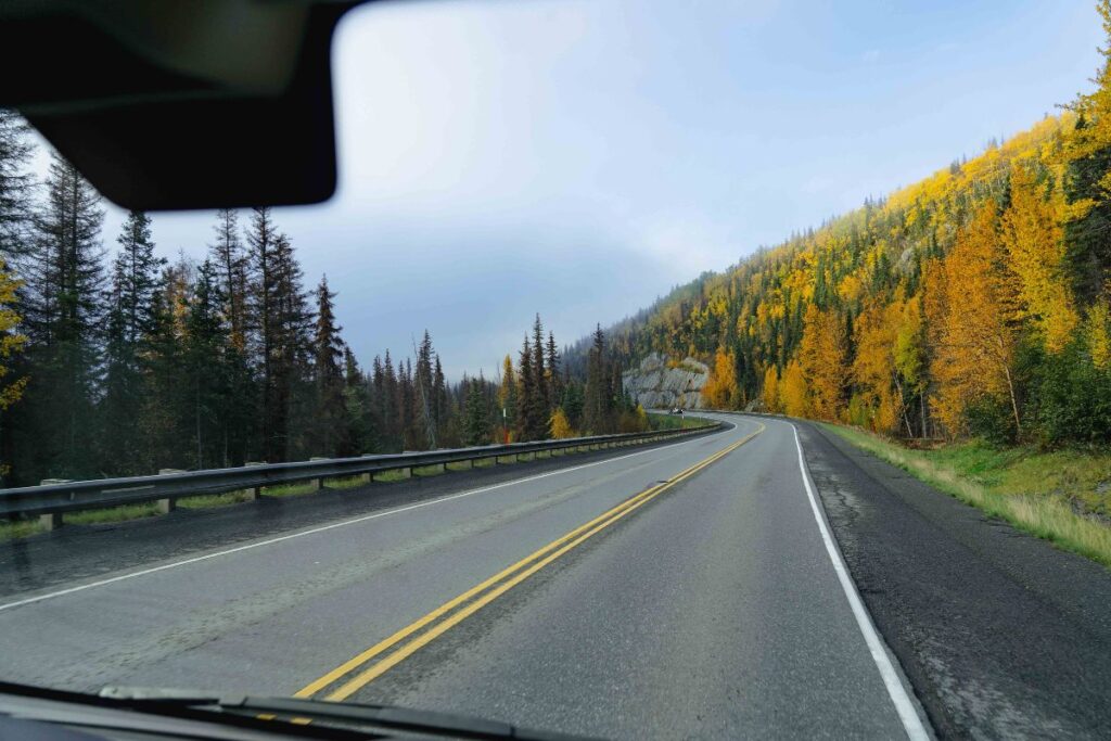 View of fall foliage while driving along the Sterling Highway