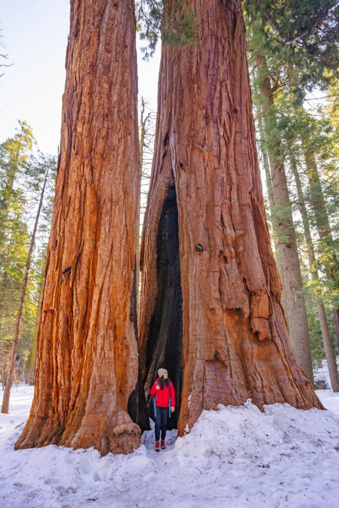 california road trip options